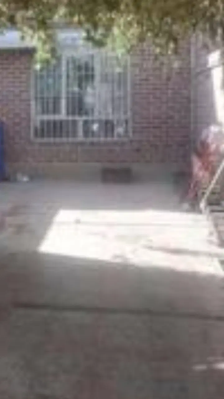 اجاره یک باب ساختمان ویلایی سال بالا