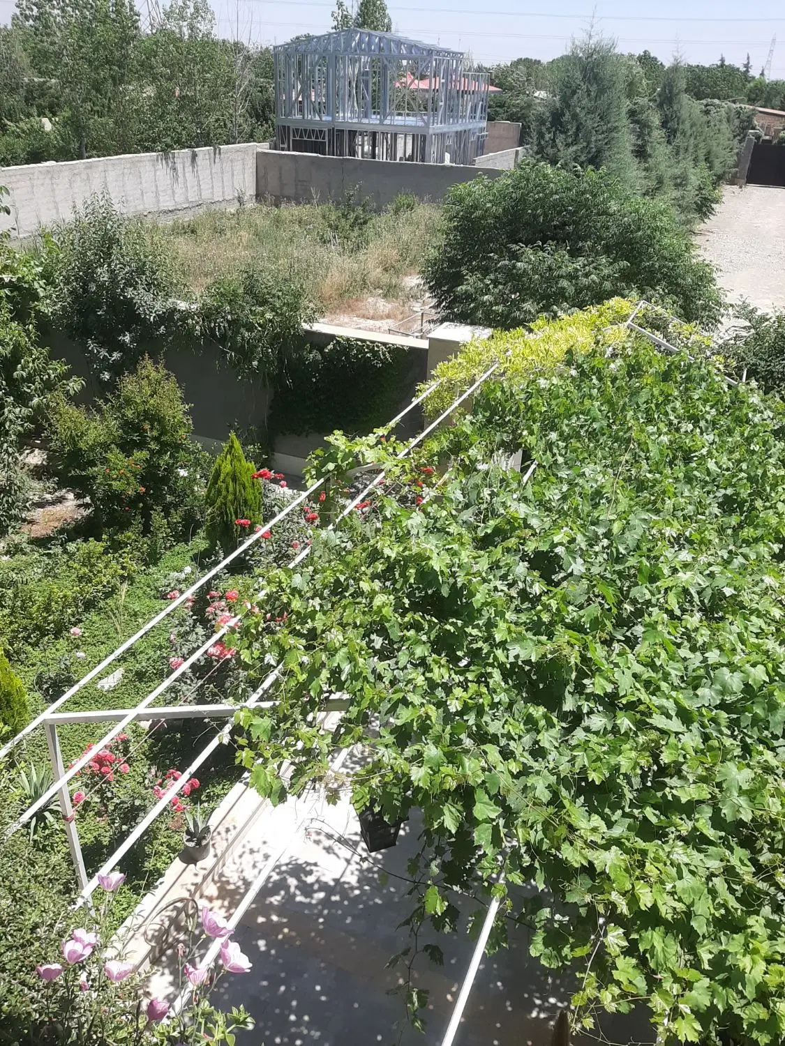 ۶۹۰ متر زمین چهاردیواری چهارباغ
