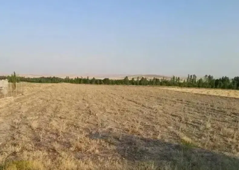 فروش زمین قلعه نو