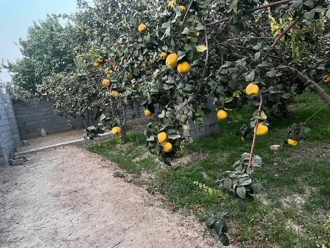 ۴۰۰م زمین با عرض ۴۰م با مجوز تجاری و ۲ط  اپارتمان