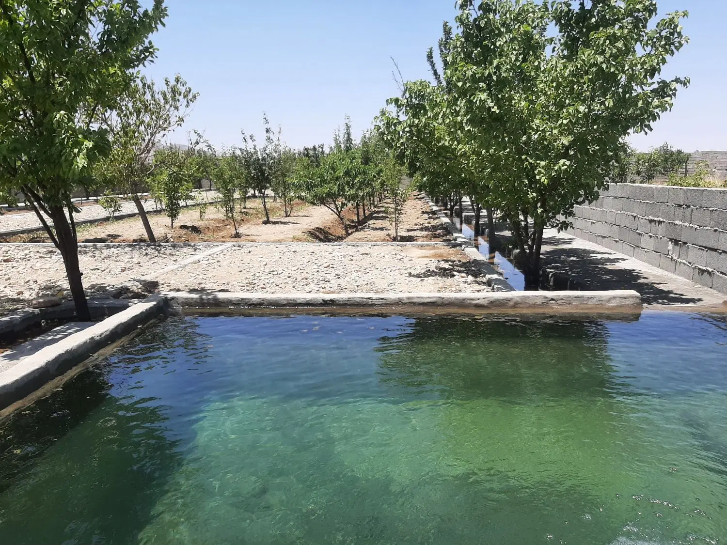 920متر باغ خیابان باران ( خوشنام)
