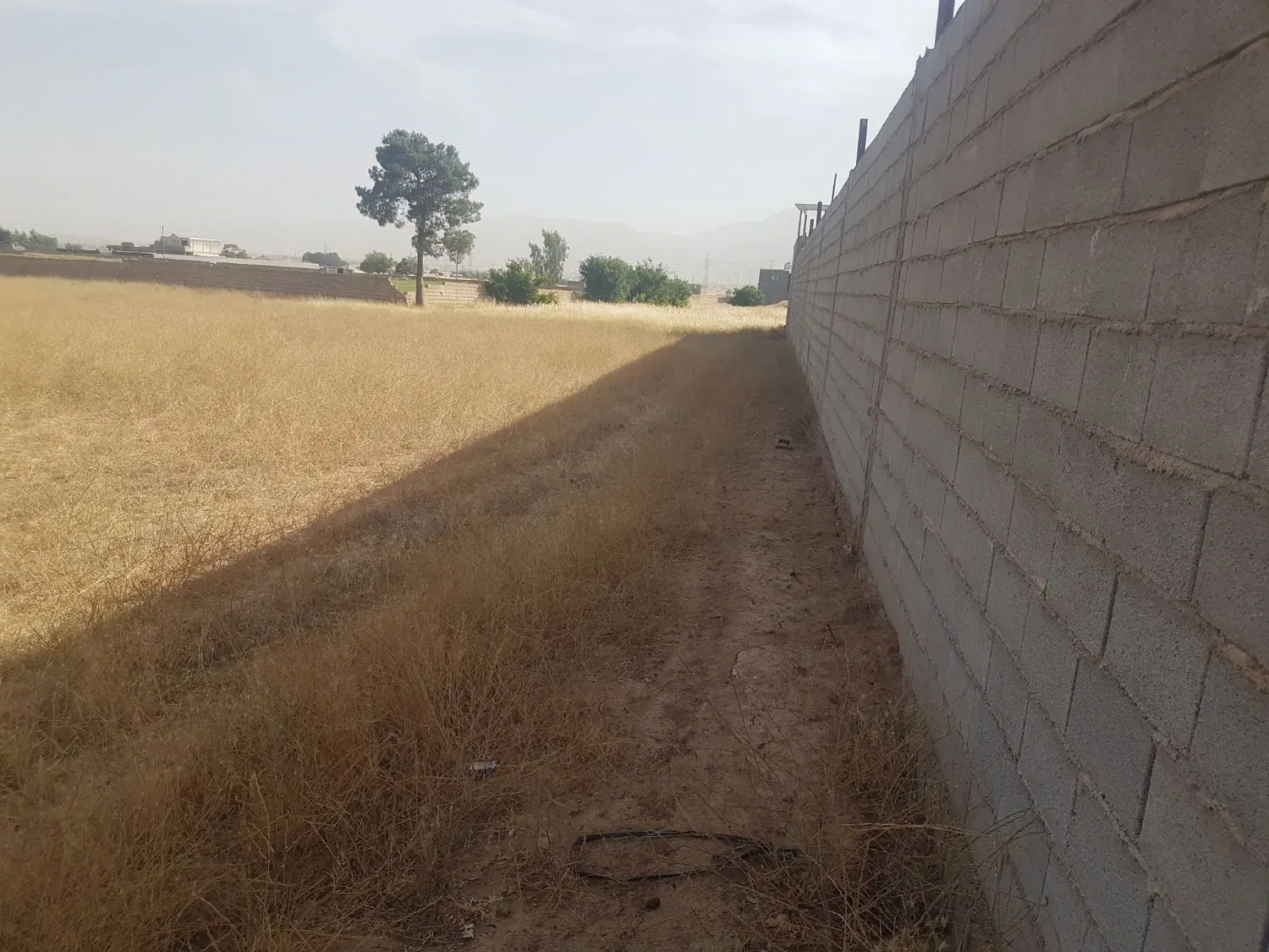 ۳۲۰۰متر زمین