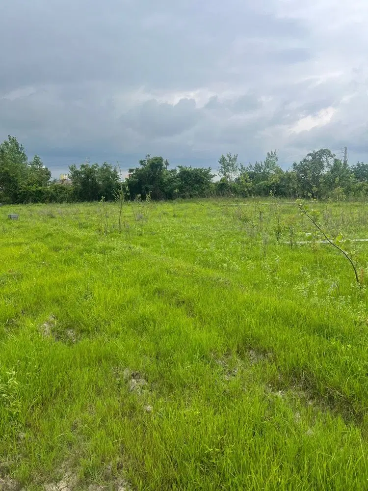 زمین برای سرمایه گذاری در منطقه چمستان