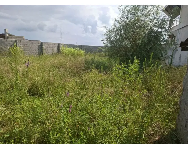 ۲۰۰متر زمین در روستاهای تالش