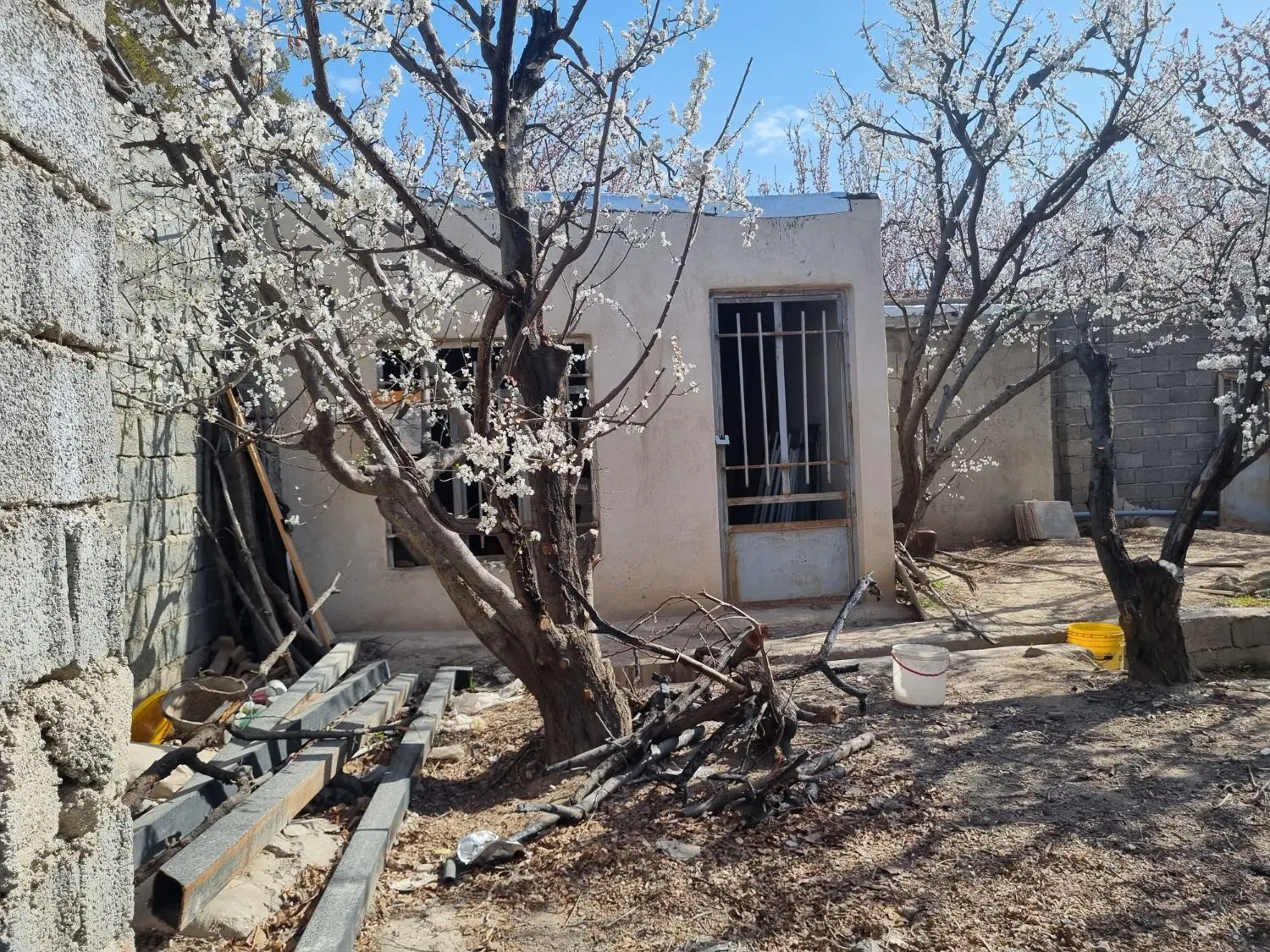 باغچه در شهریار فردوسیه