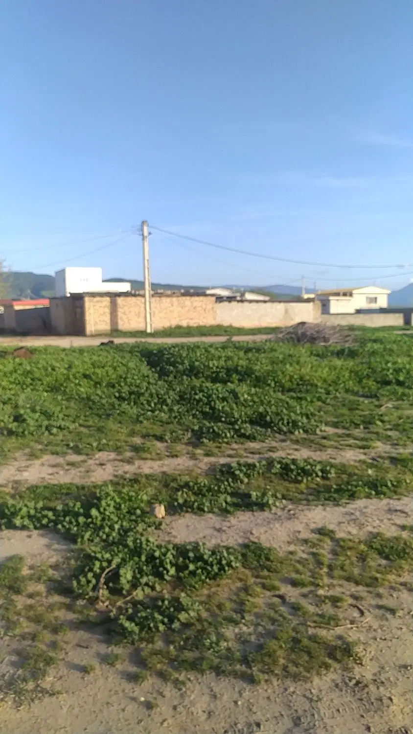 زمین مسکونی