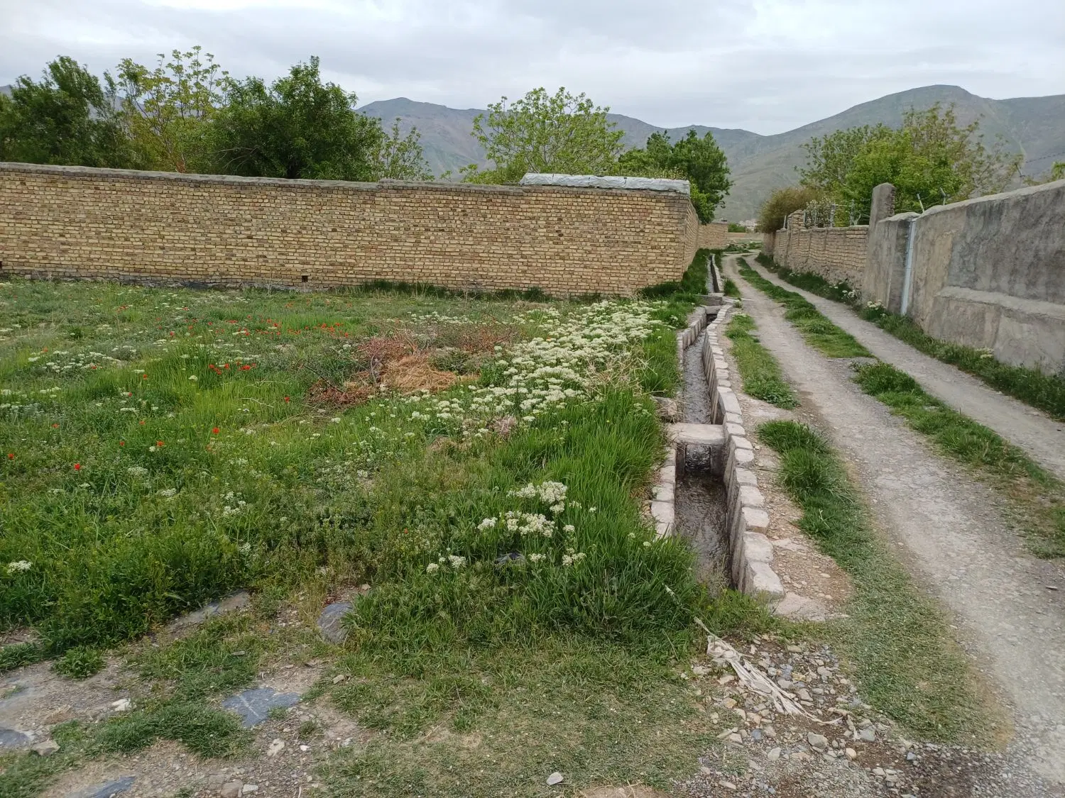 زمین باغ صفای نظم آباد نظم آباد ( پشت هفت آسمان)
