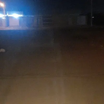 زمین خالی. باغی