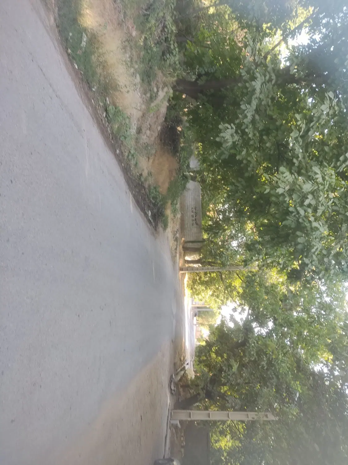 باغ فاروق
