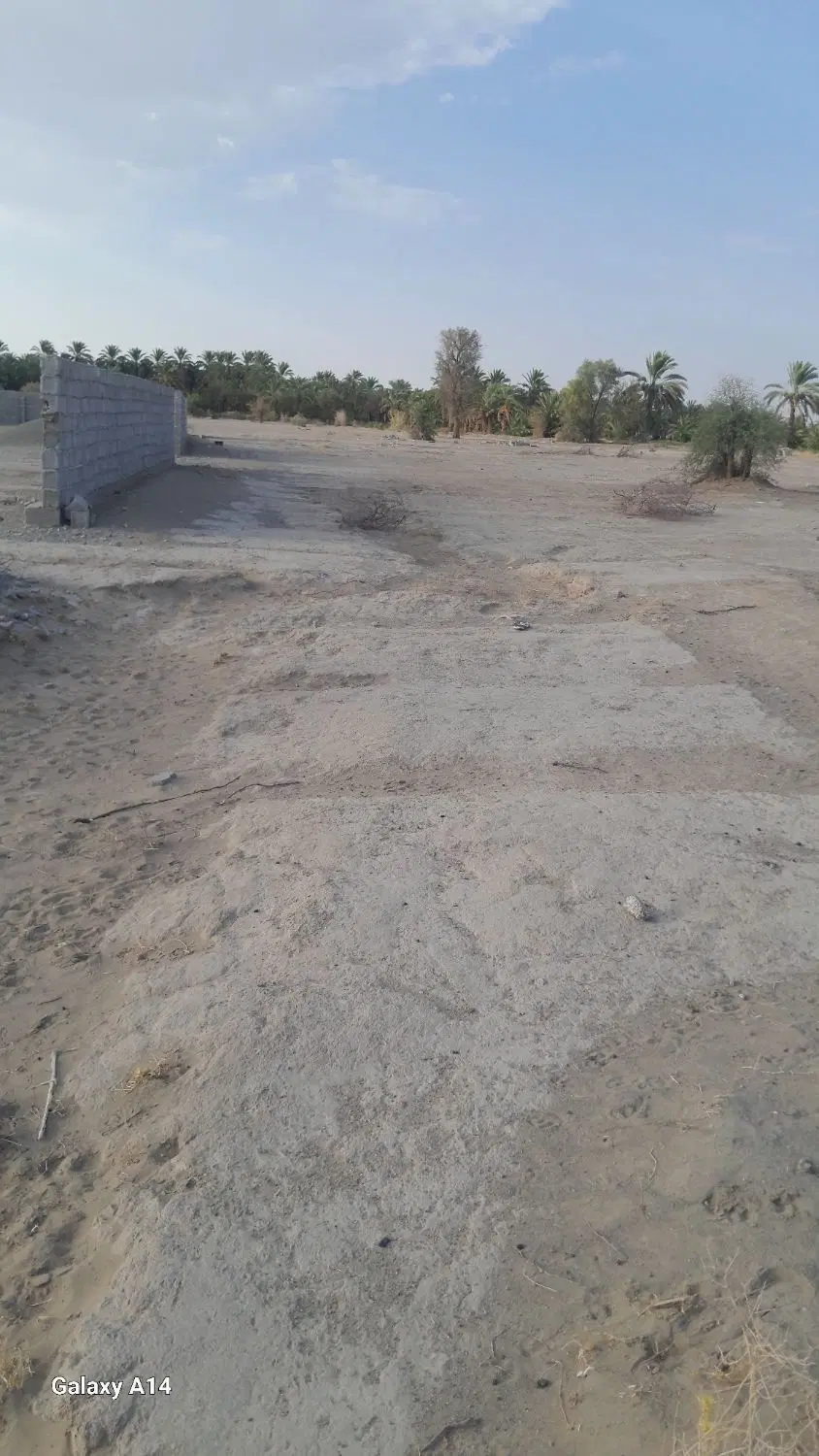 فروش یا معاوضه