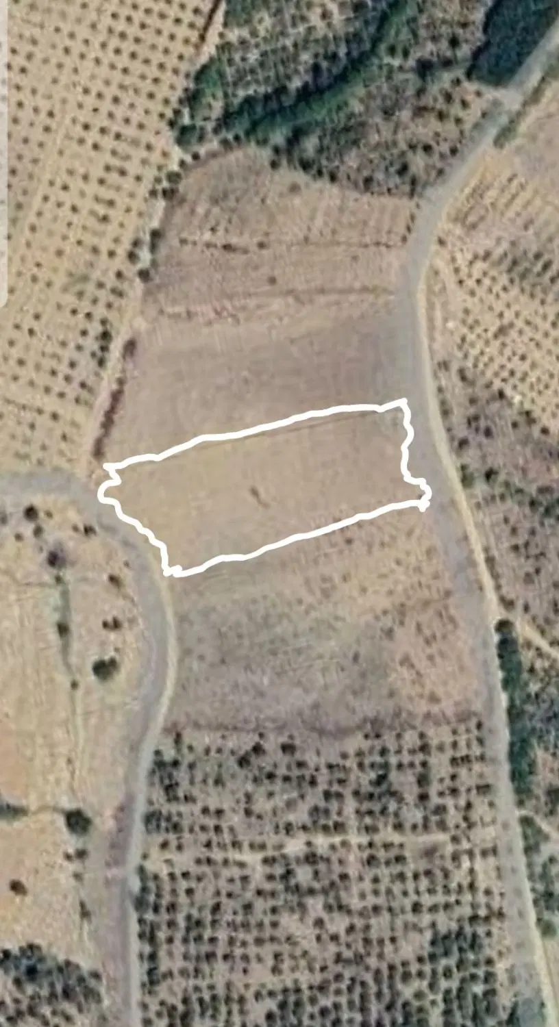 زمین کشاورزی