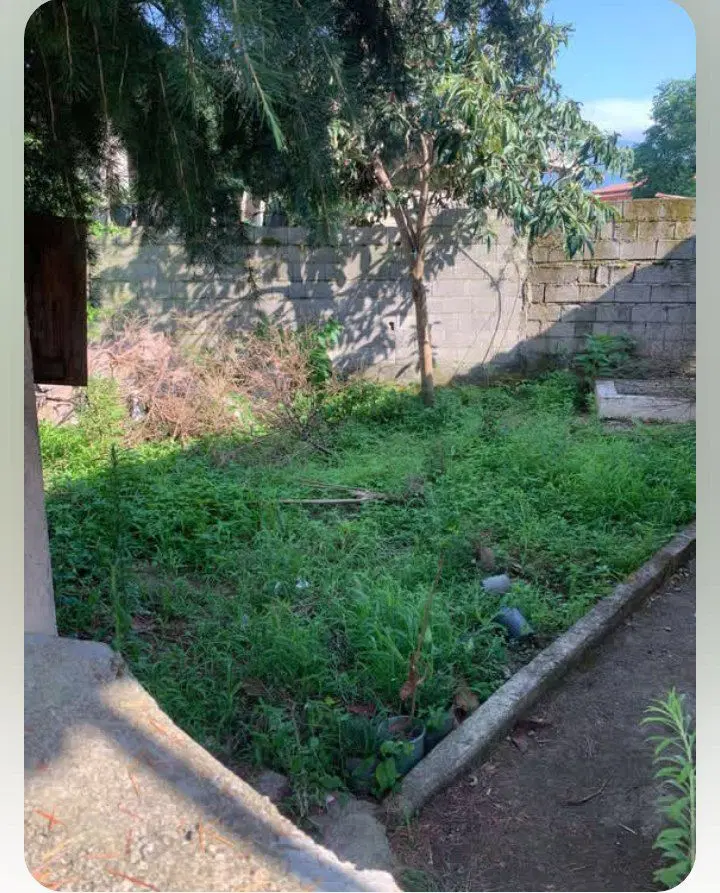 زمین مسکونی