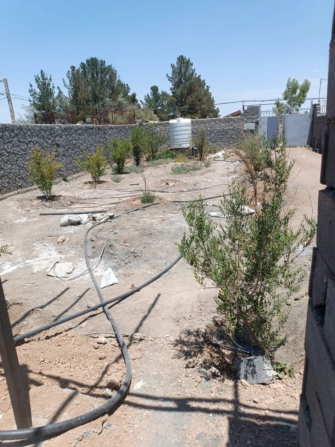 باغ نیمه ساز قدیمی