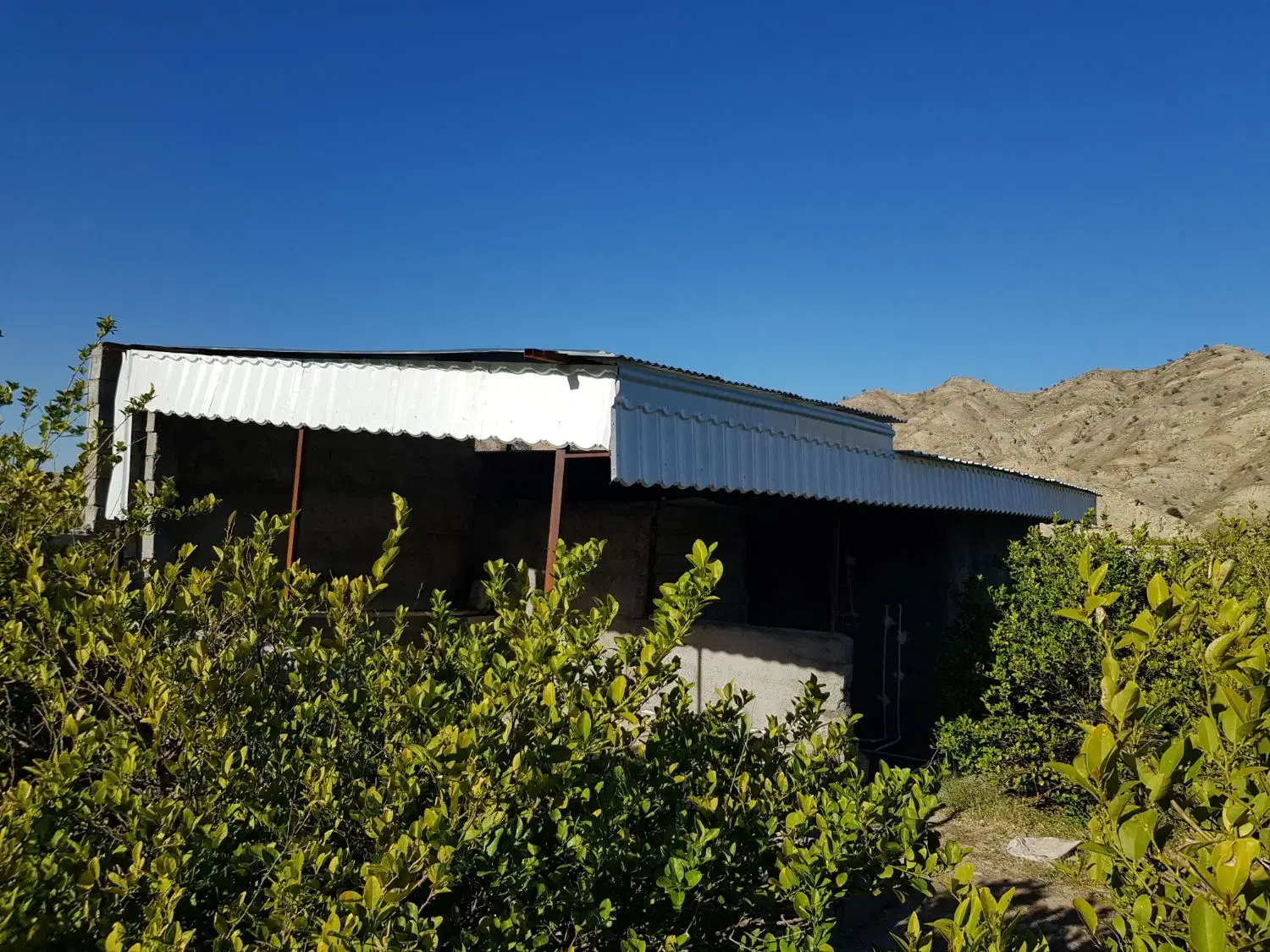 باغ دیل 670 متری درختان ثمری با دیوارکشی