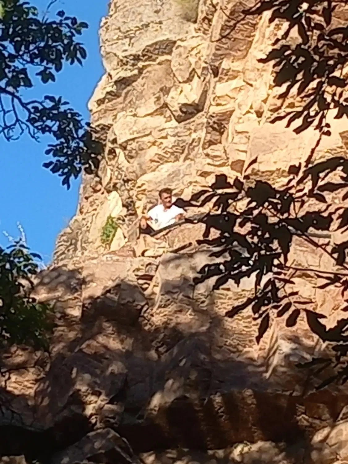 زمین کشاورزی