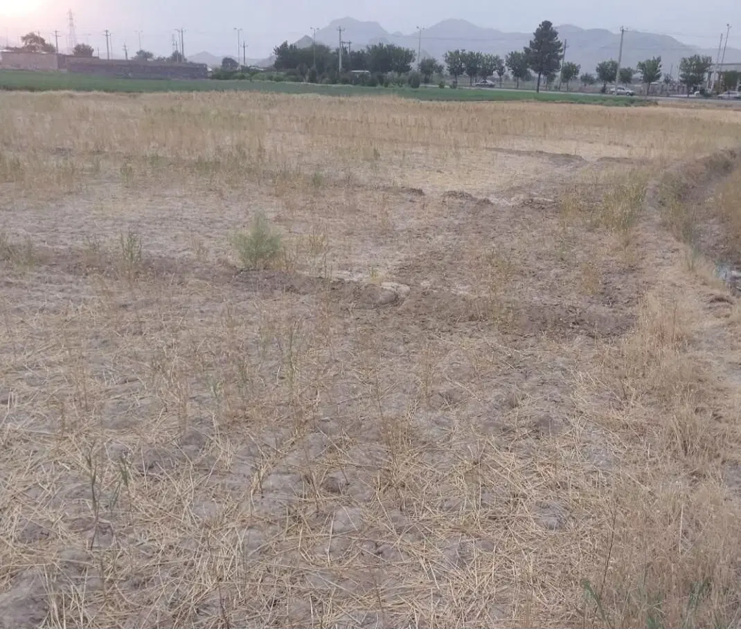 زمین کشاورزی