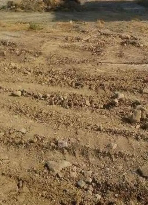 فروش زمین