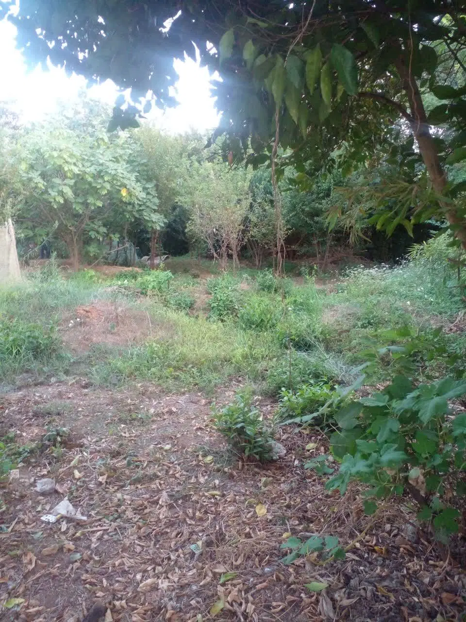 300منرزمین با کاربری مسکونی