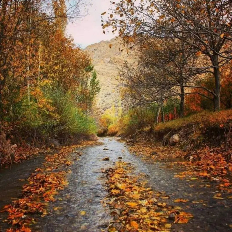 معاوضه خانه ویلایی روستا امرودک با خانه مشهد
