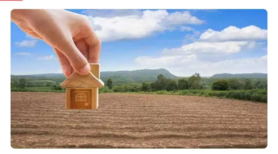 زمین تفکیک شهرداری سند ۶ دنگ