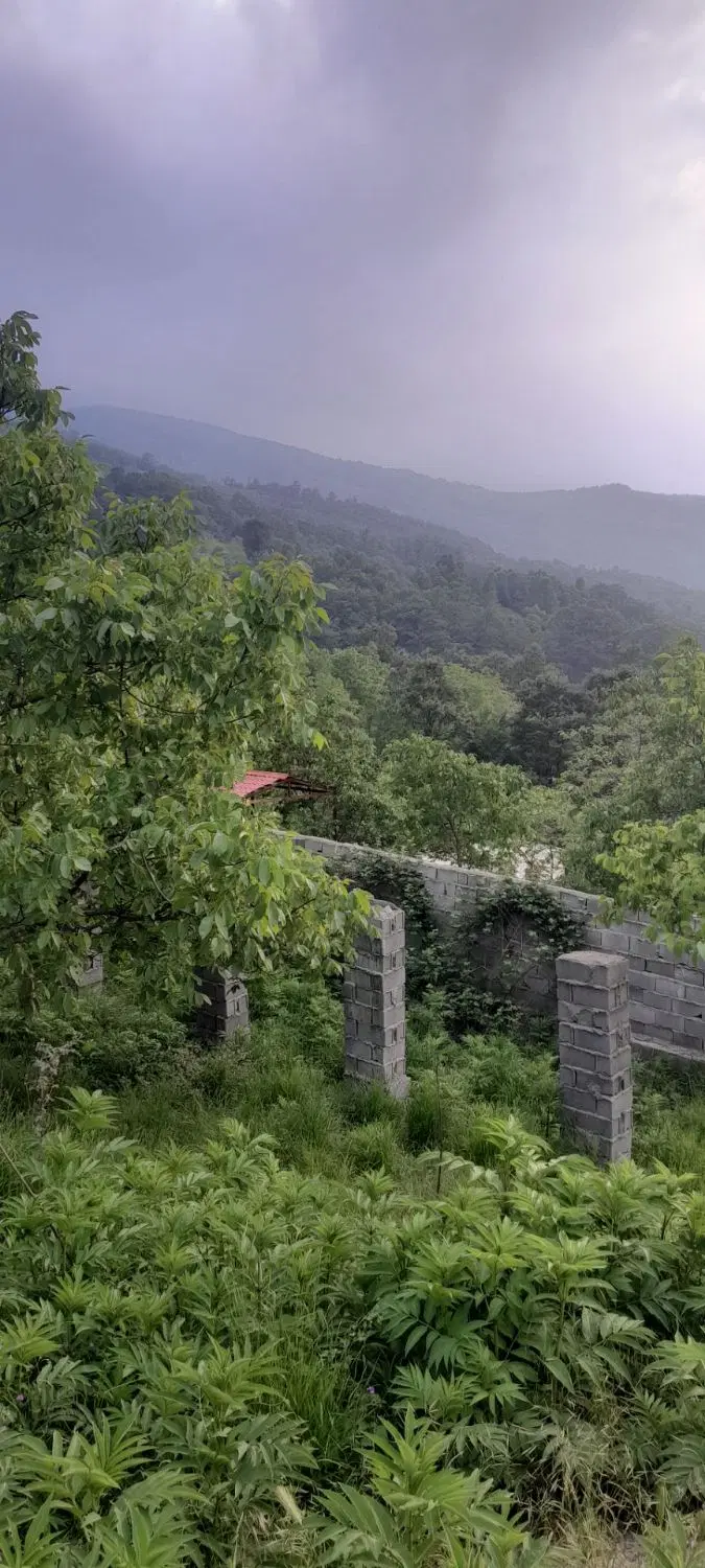 زمین کاربری  روستای ملچ ارام شهرستان رامیان