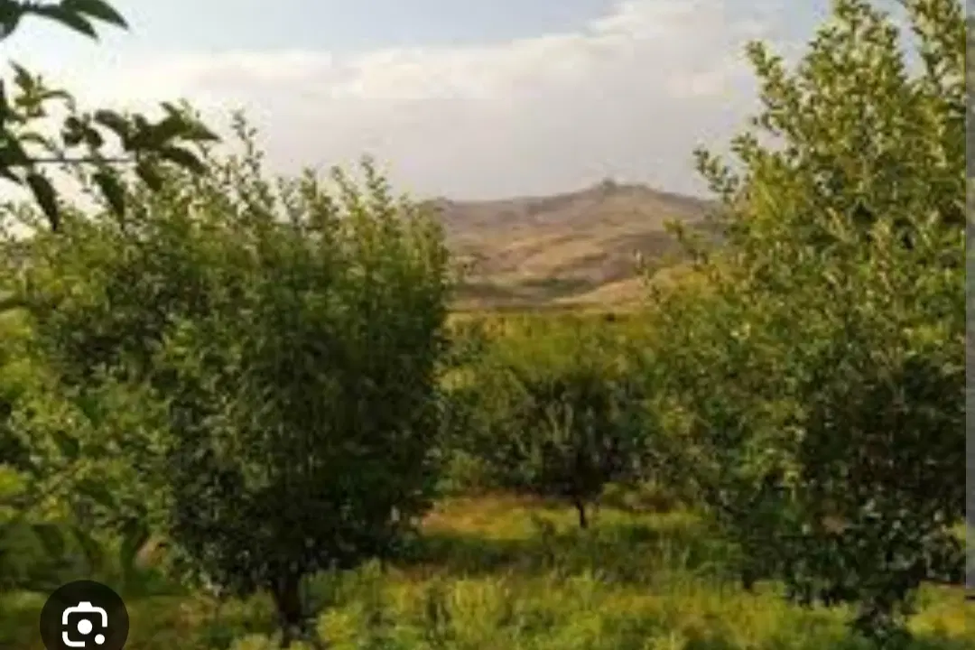 فروش باغ بادام