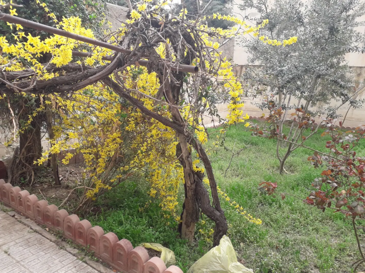 خانه کلنگی