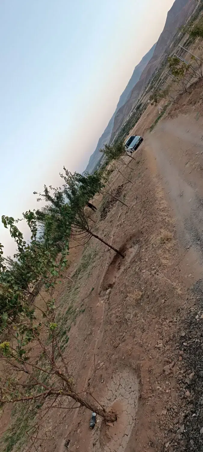 باغ