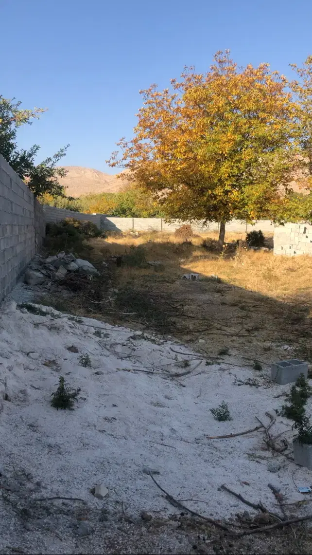 سپیدان سند تک برگ ملکی