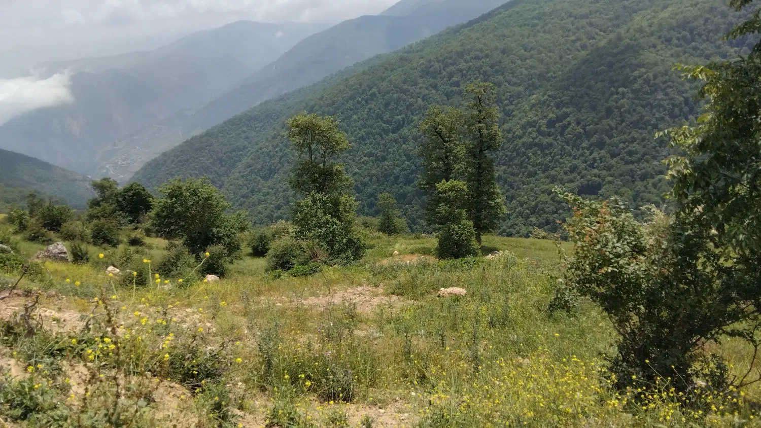 زمین افراتخته