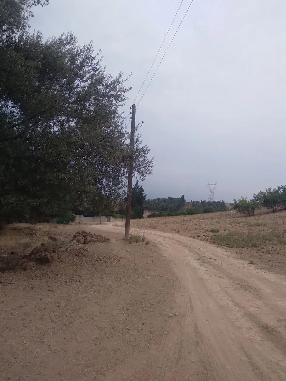 ۲۰۰ متر زمین واقع در رستم اباد