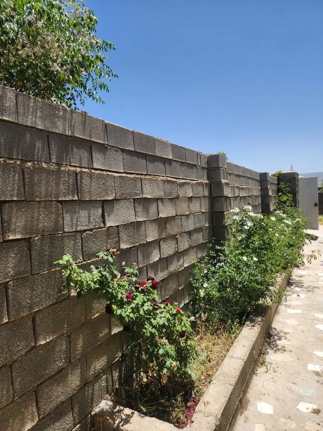 باغ سیاخ دارنگون
