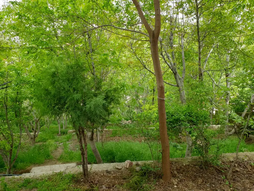 فروش قطعات زمین سند تک برگ چهارباغ