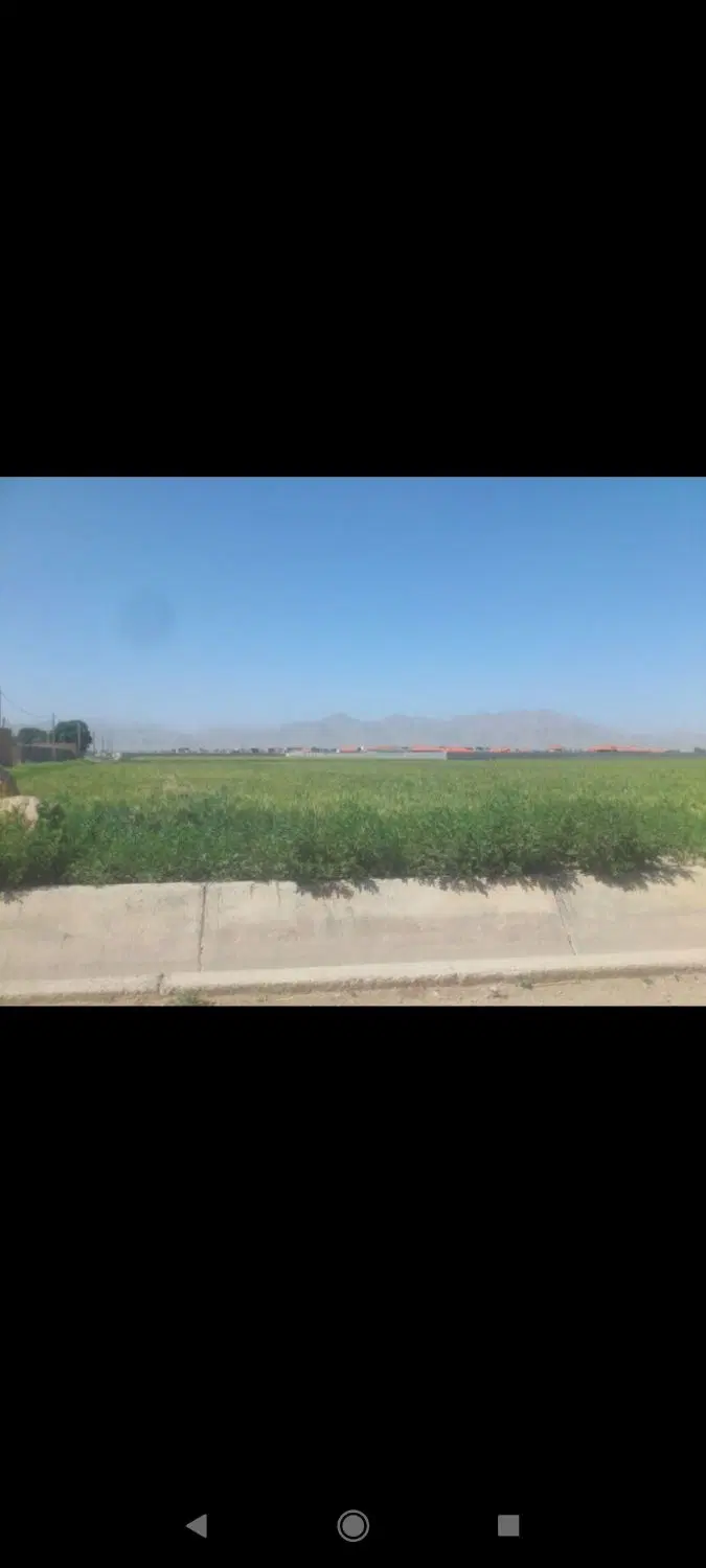 زمین باغی 1000متر