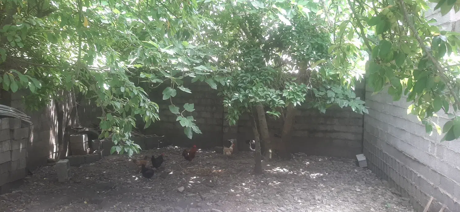 ملک نیمه کاره به همراه زمین
