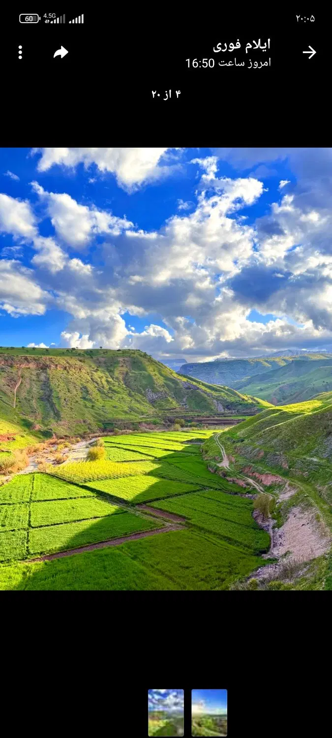 زمین باغی وزراعی هرسین