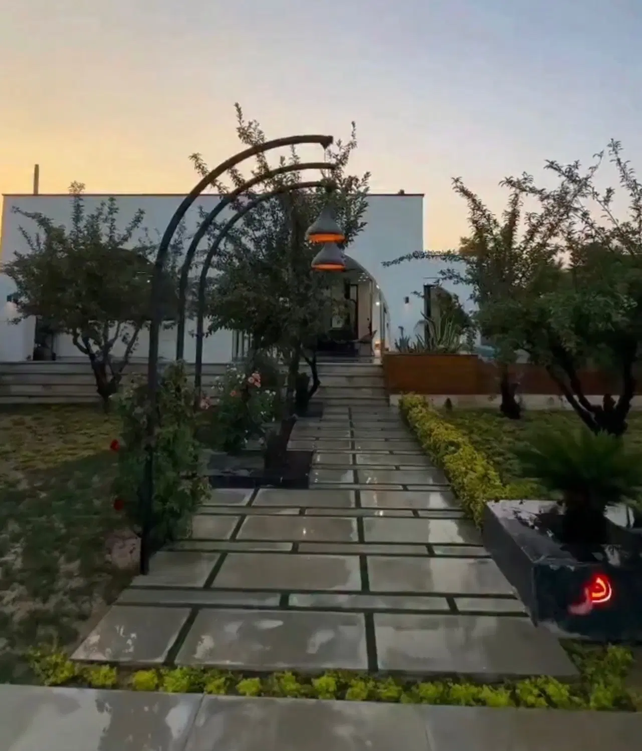 زمین ، درختان خوب ، فرارت
