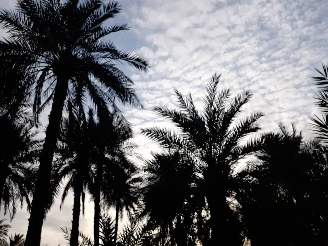 زمین کشاورزی در طره بخاخ
