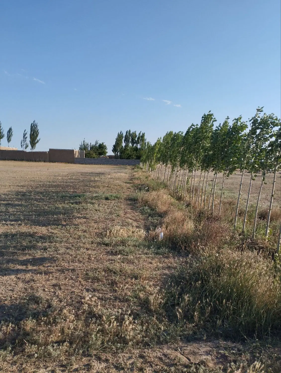 فروش زمین مسکونی ۱۰۰۰ متر اردبیل روستای یزن اباد