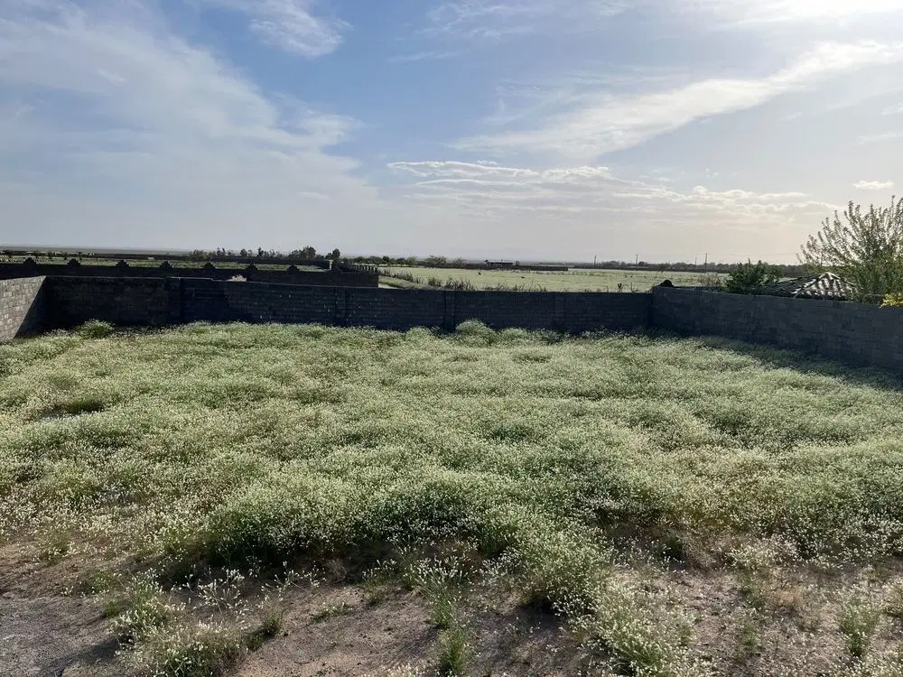 زمین جهت خانه باغ روستای کران