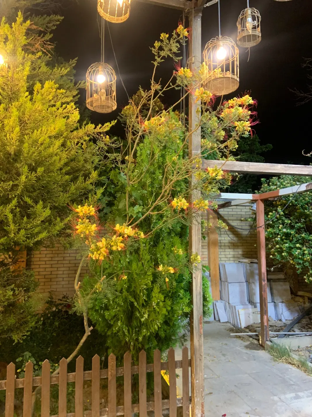 زمین و باغ ویلا