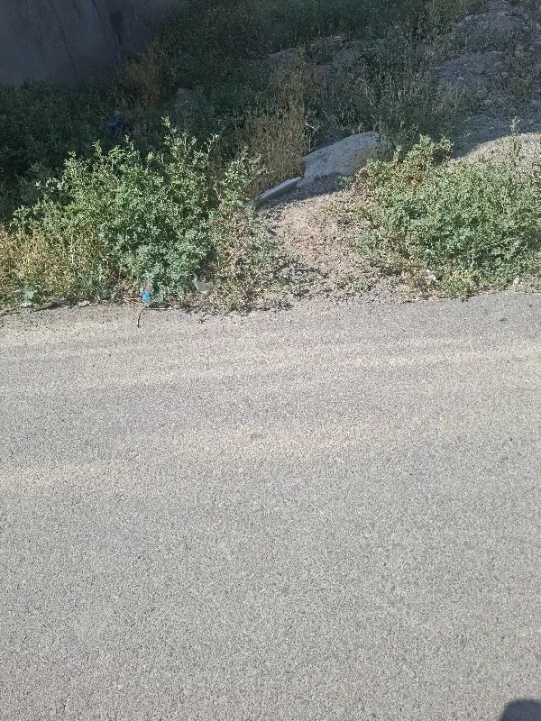 زمین جهاد کشاورزی ۱۶۰متر