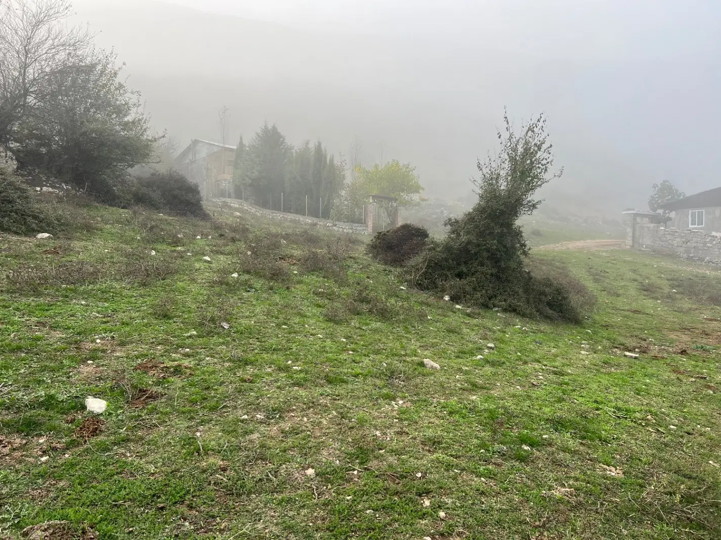 زمین جوزستان زیارت  ۲۵۰ متر دو‌نبش بدون شیب