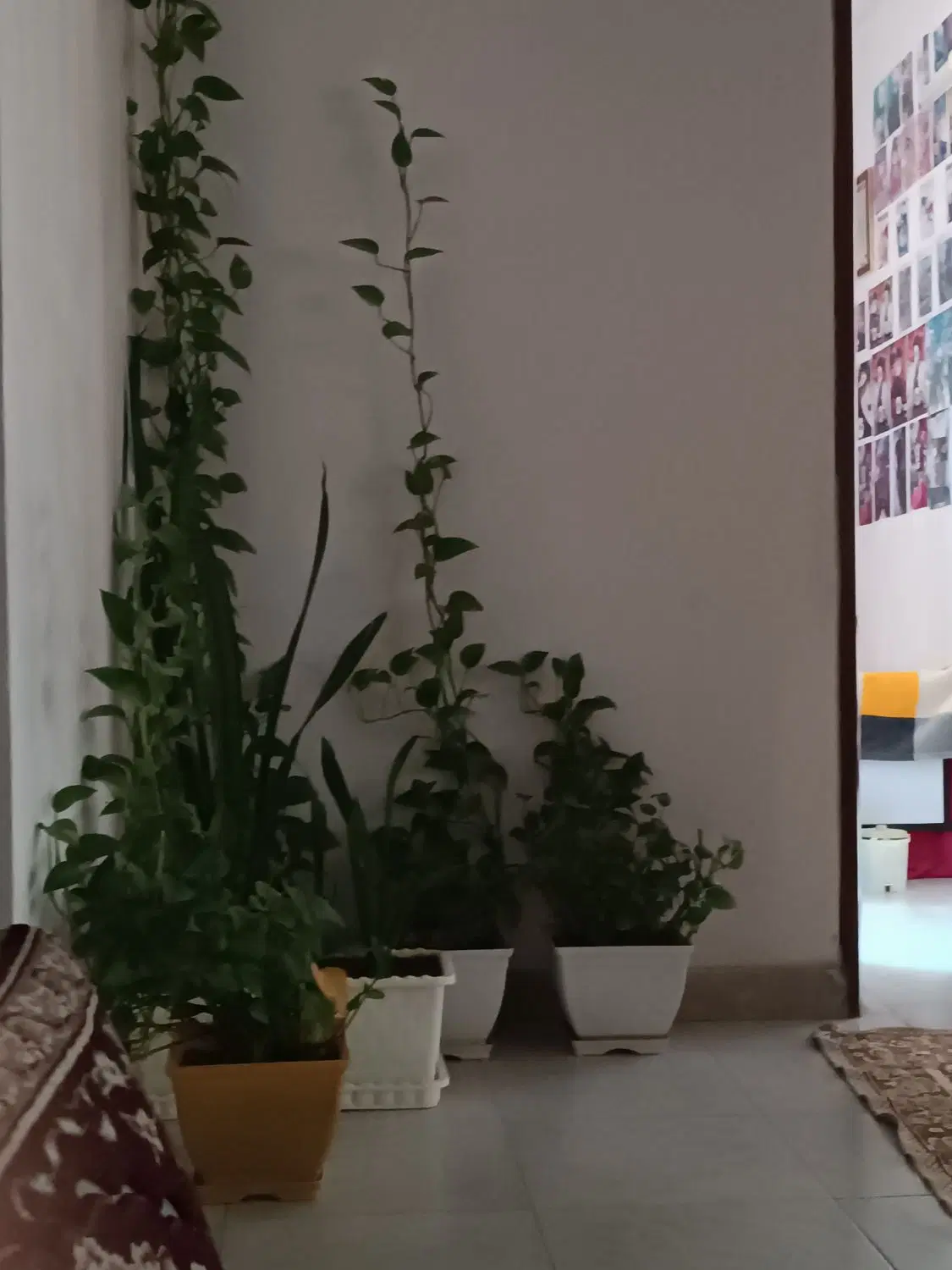 یه واحد 78 متری با امکانات بالا