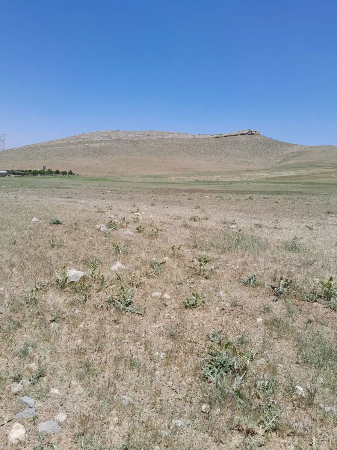 زمین کشاورزی
