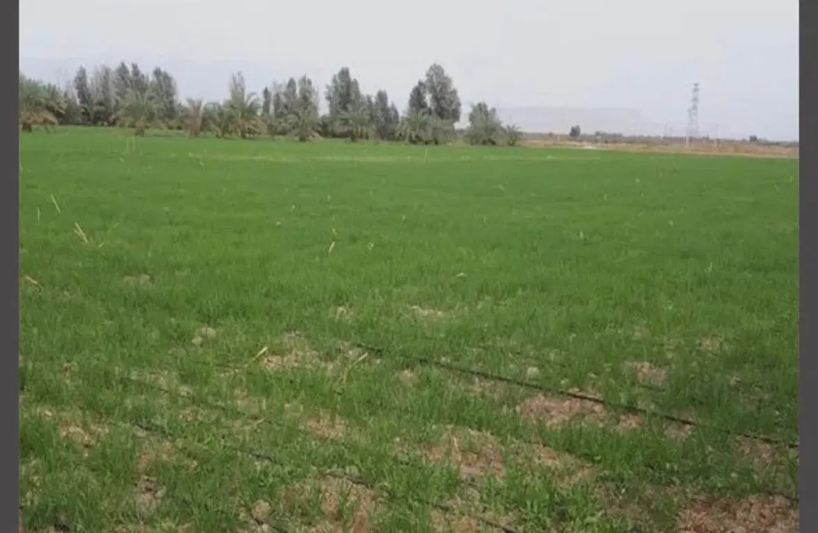 زمین کشاورزی_سهمیه آب