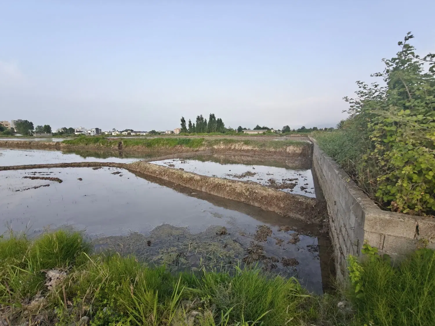 فروش زمین به متراژ ۴۲۰۰