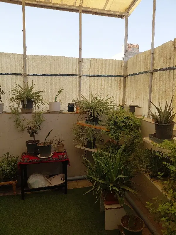 اجاره خانه