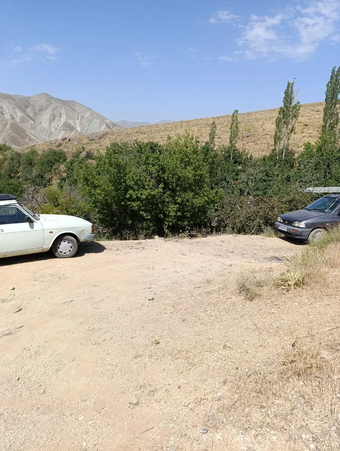 زمین در راحت آباد