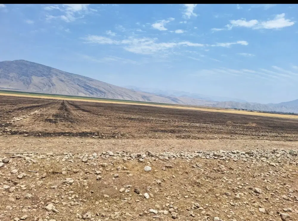 فروش ملک تجاری